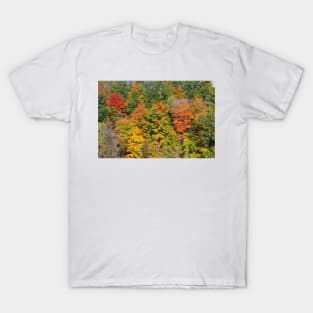 Burst of Color Hamilton T-Shirt